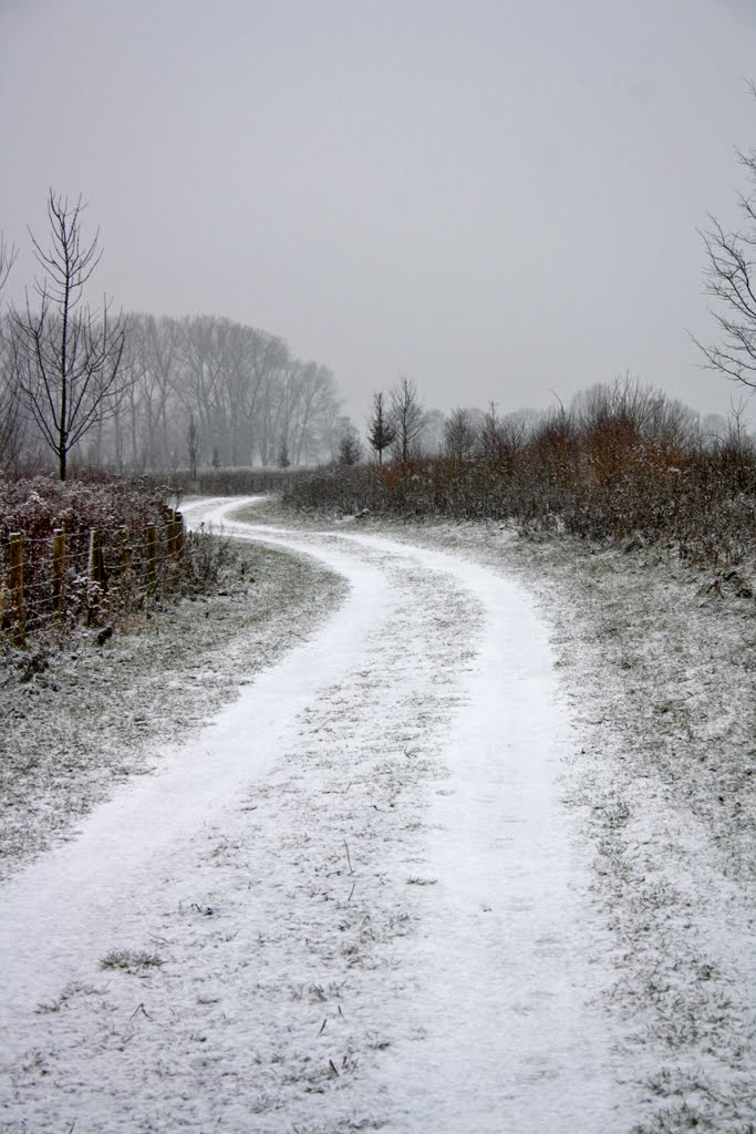 Der Weg an Der Seseke im Winter by Frank Heldt