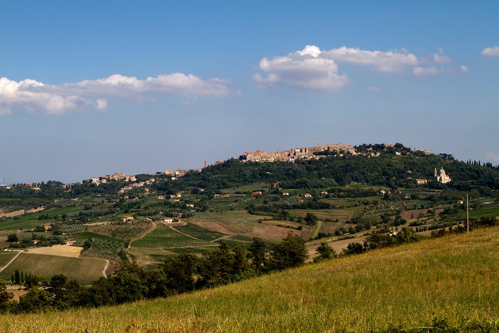 Montepulciano by Waldemar