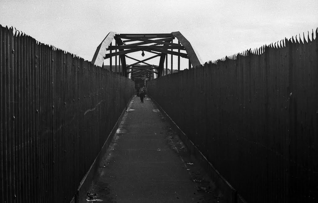 Footbridge To Splott 1981 by fat-freddies-cat