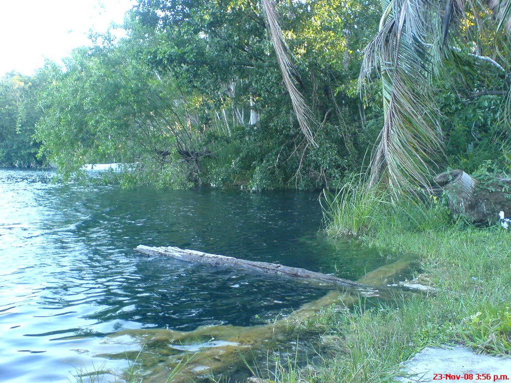 CENOTE AZUL BACALAR by salvadorJMC