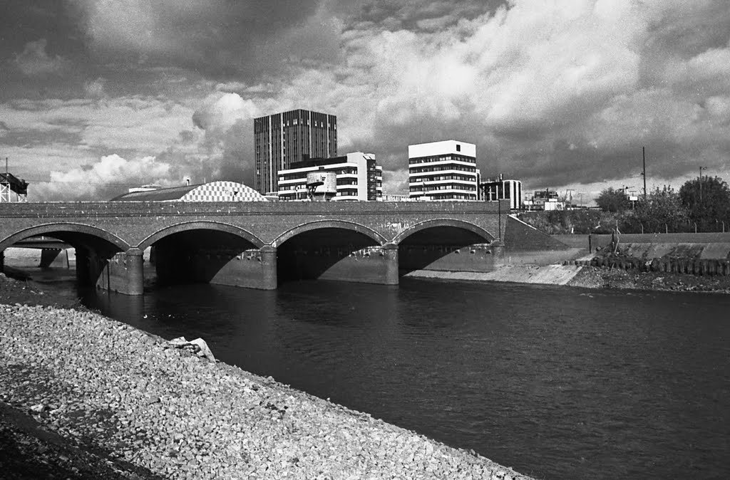 Cardiff Skyline 1981 by fat-freddies-cat