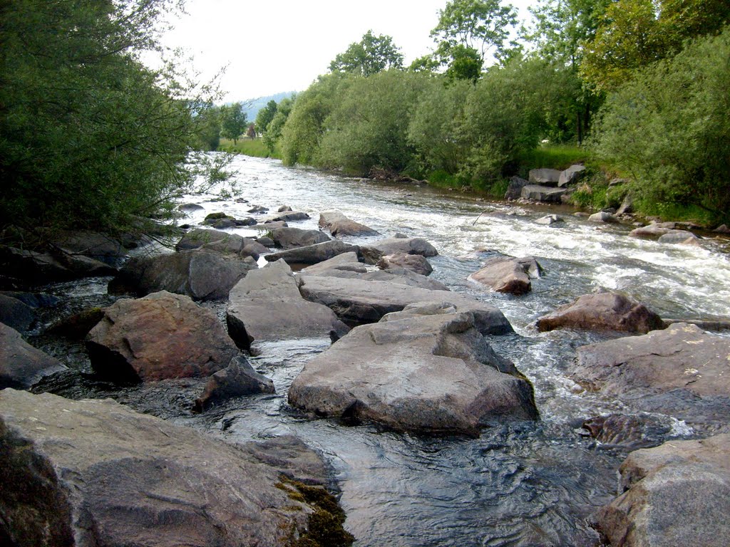 Freiburger Fluß die Dreisam by Martin51