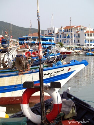 Le port de Tabarka by freediver206