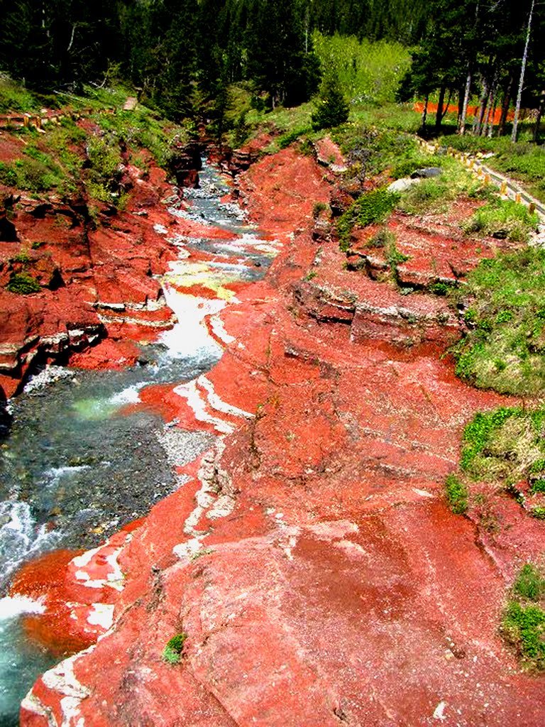 Redrock Creek, Glacier National Park, Montana by Michael Jiroch