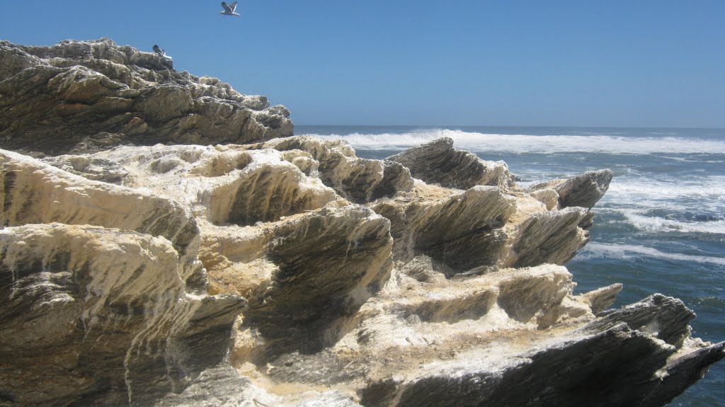 Duao Chile "ROCAS MARINAS FRENTE A LA CALETA DE PESCADORES" by Carlos Nibaldo Cotal…