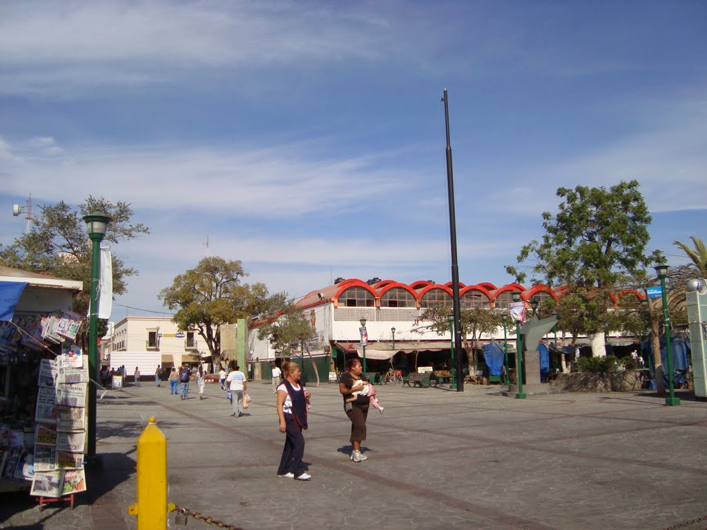 Plaza de Tonala, Jalisco by 3817veterans