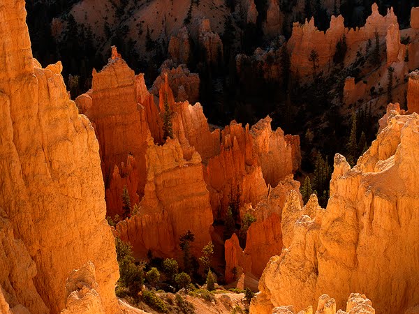 Bryce Canyon - Hoodoos by Andreas Minich