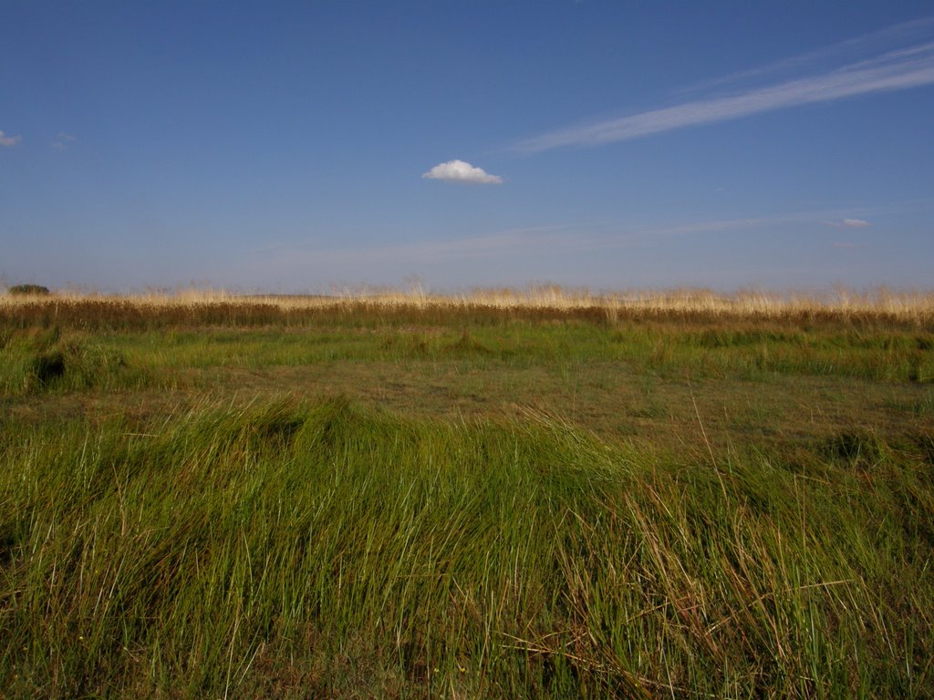 Laguna GRANDE, en agosto by arkilla