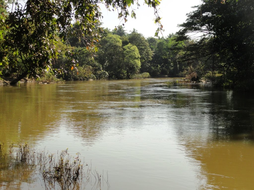 Pubbowa, Sri Lanka by Senanayaka Bandara