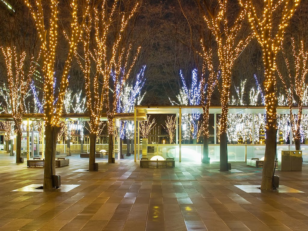 Keyaki Hiroba Winter Illumination by KAZ1959819