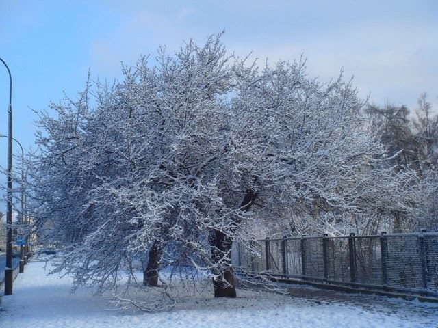 Wyględów, Warsaw, Poland by Jacek M Lewandowski