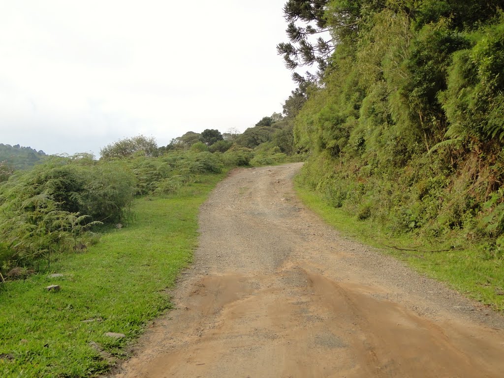 Estradinha de chão que leva a parte de cima da cachoeira do Avencal em Urubici, SC. by Ricardo Mercadante