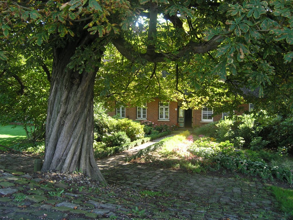 Bauernhaus Drennhausen by elvdieker