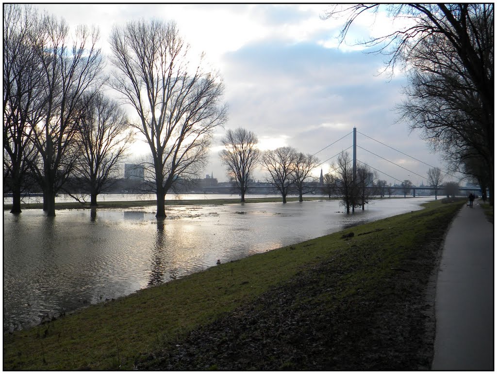 Überflutete Rheinwiesen #1 by AudioNaUT