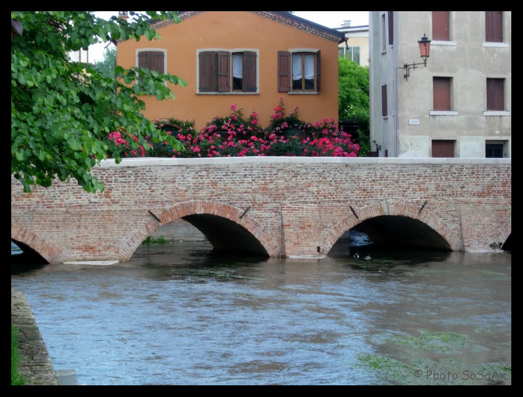 Ponte San Francesco by Silvio Fagotto