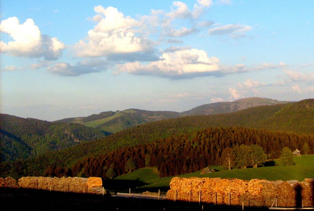 Schauinsland Blick zum Feldberg (1493 m) by Martin51