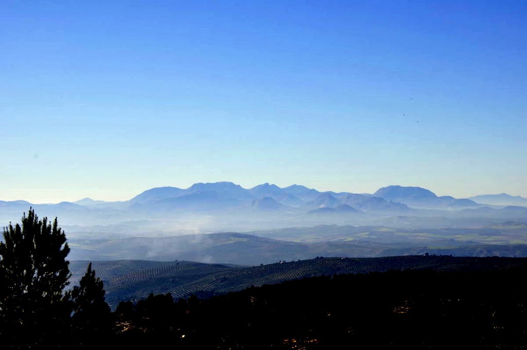 Sierra de Mágina al fondo by Joaquin Alejandre