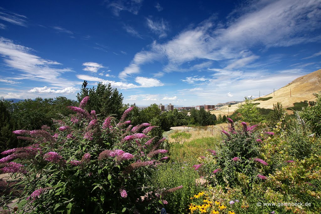 Red Butte Garden by Thomas Galenbeck