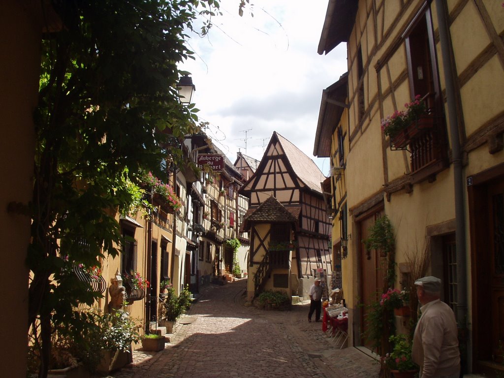 Schiefes Haus (Eguisheim) by Joker007