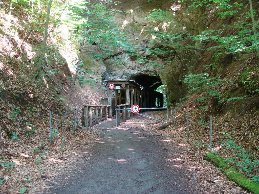 Eingang zum Eifelkrater Arensberg bei Zilsdorf by Contessa