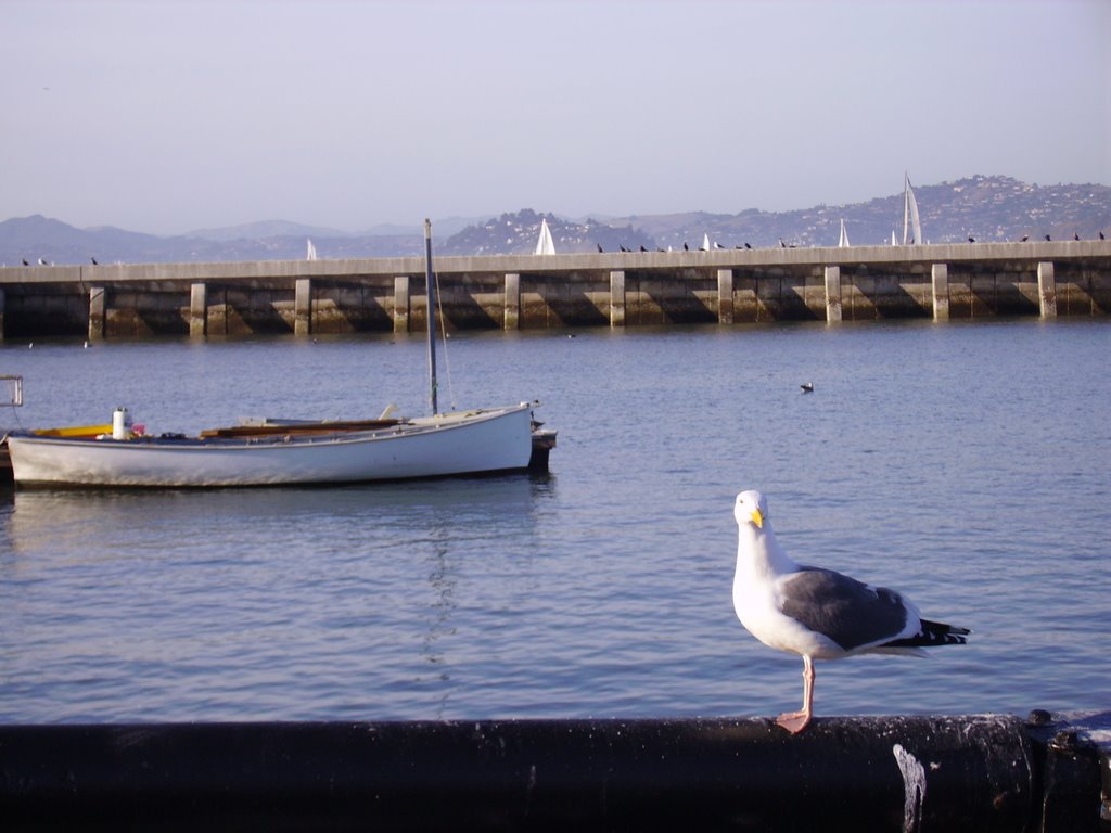 Fisherman's Wharf, San Francisco, CA, USA by Keith Didion