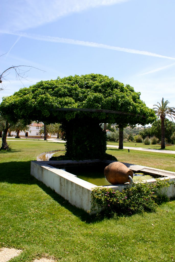 Herdade de Cadouços, Jardim II by Carlos A. P. Rosa