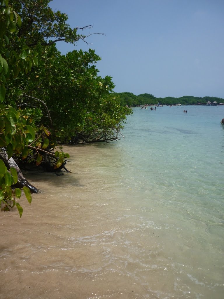 Isla Larga, Puerto Cabello, Venezuela by Ana Cedeño