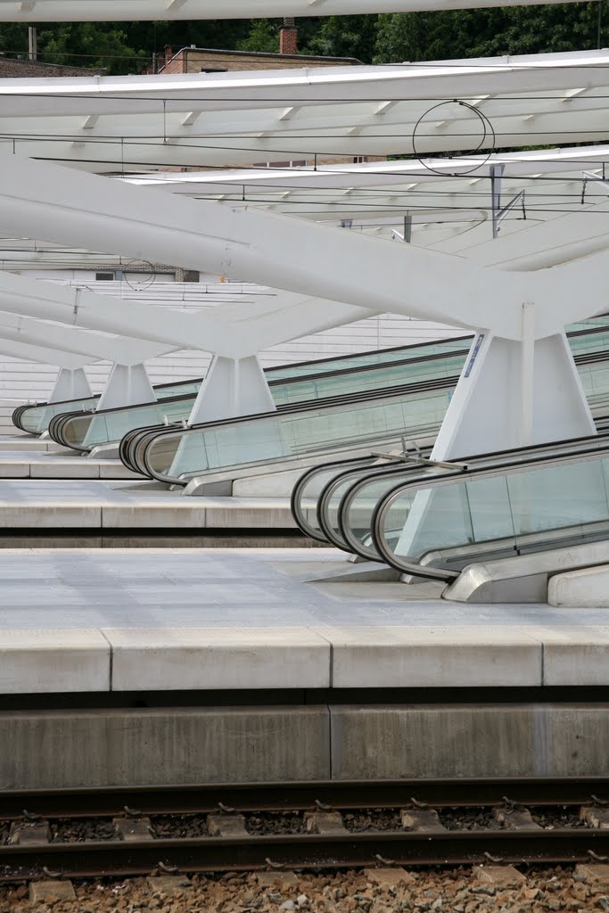 Gare de Liège-Guillemins, Liège, Liège, Belgique by Hans Sterkendries