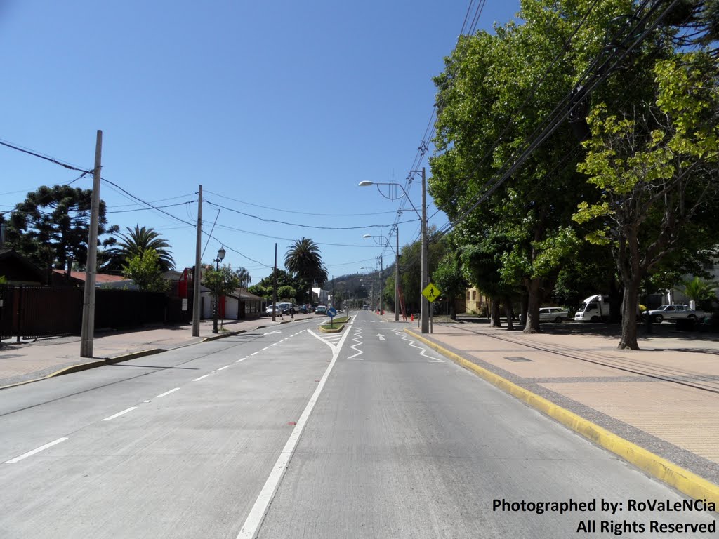 Avenida O'Higgins hacia el norte by loboaustral