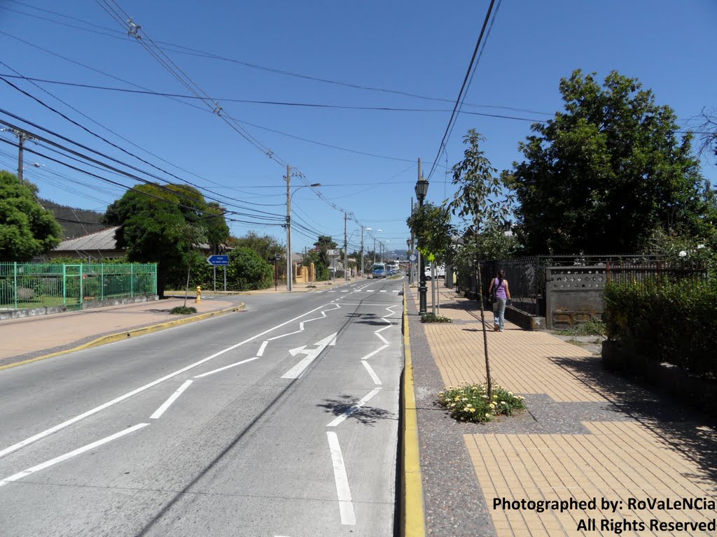 Avenida O'Higgins by loboaustral