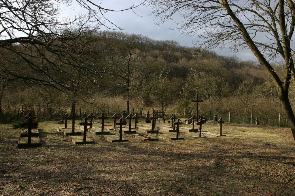 Cemetery of Kapolnapuszta by izsolt