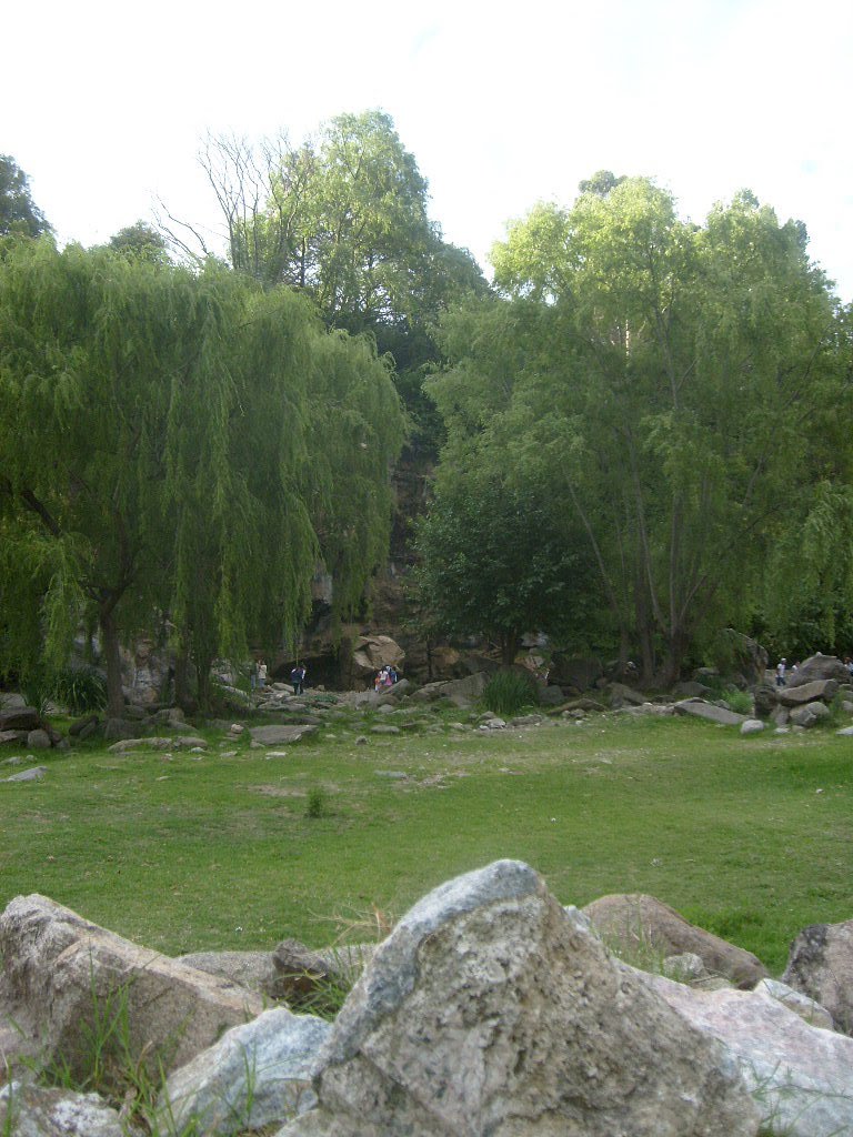 El sausal en las "7 cascadas" - La Falda - Argentina by LichuKnzpt