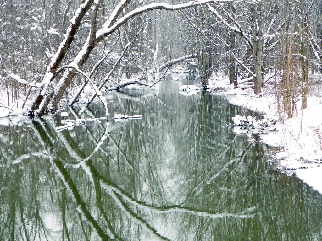 Snowy stream shot #1 by Rick King