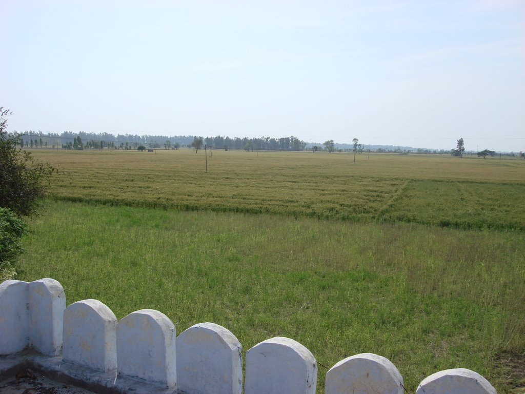 View of southwest portion of battllefield from top of Ferozeshah Gurdwara (Where fighting was the thickest) by amarpal sidhu