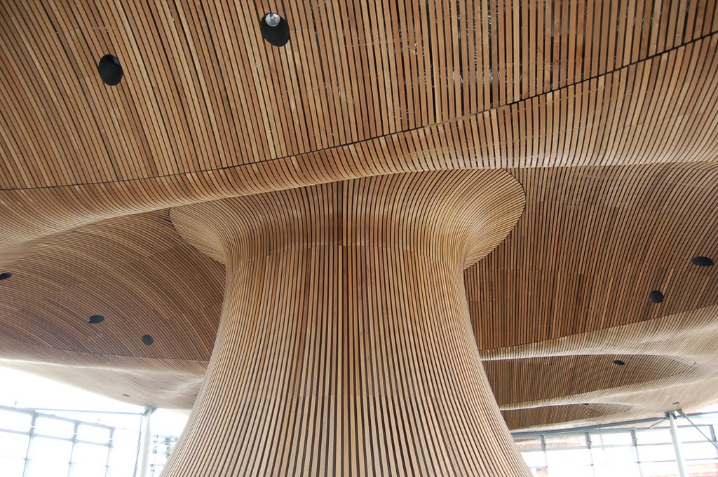 Roof of the Welsh Assembly Building. Cardiff. by Mark Vickers