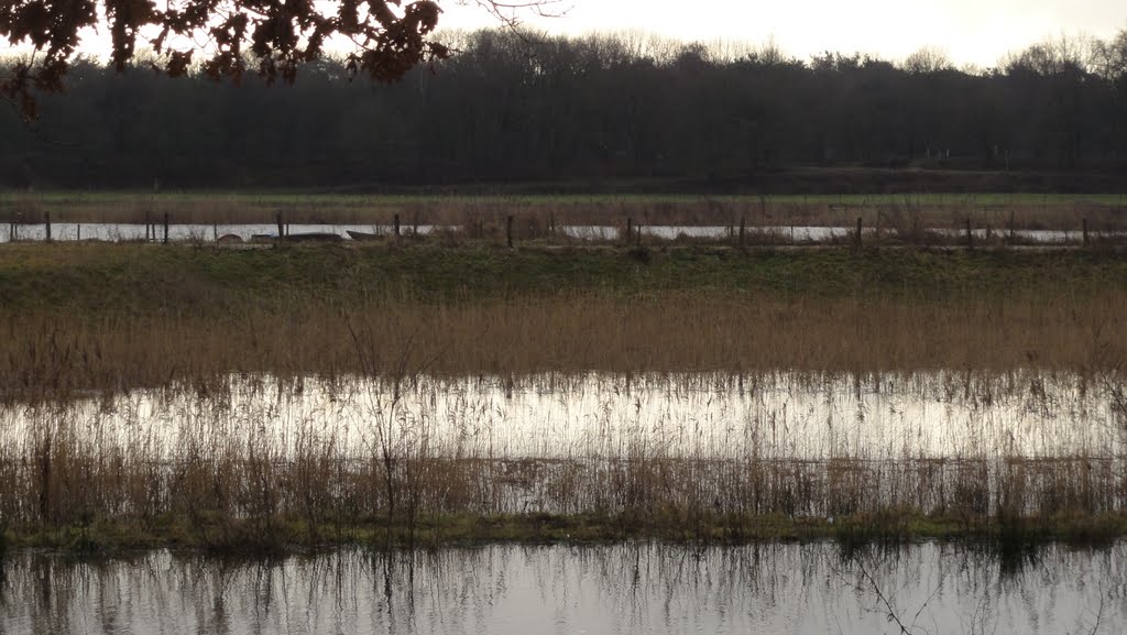 Wijchen, Netherlands by karel wielinga