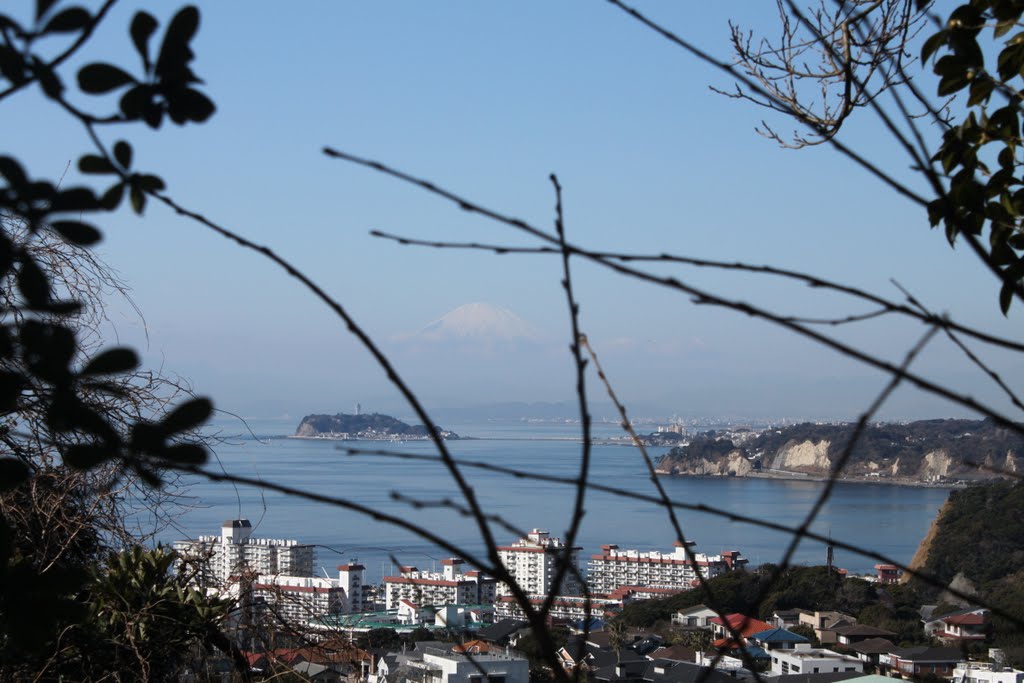 Mt. Fuji from Hiroyama Park by gaijin