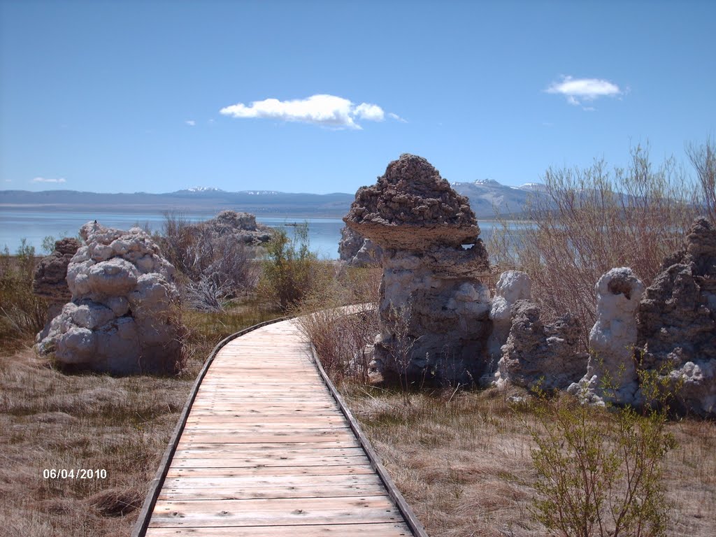 Tufa Formations at Mono Lake by Lawrence A McDonald