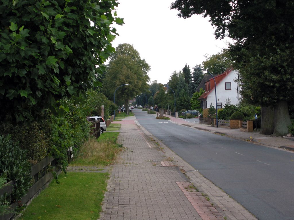 Lindenstraße, Blick Richtung Süden by tweety3d