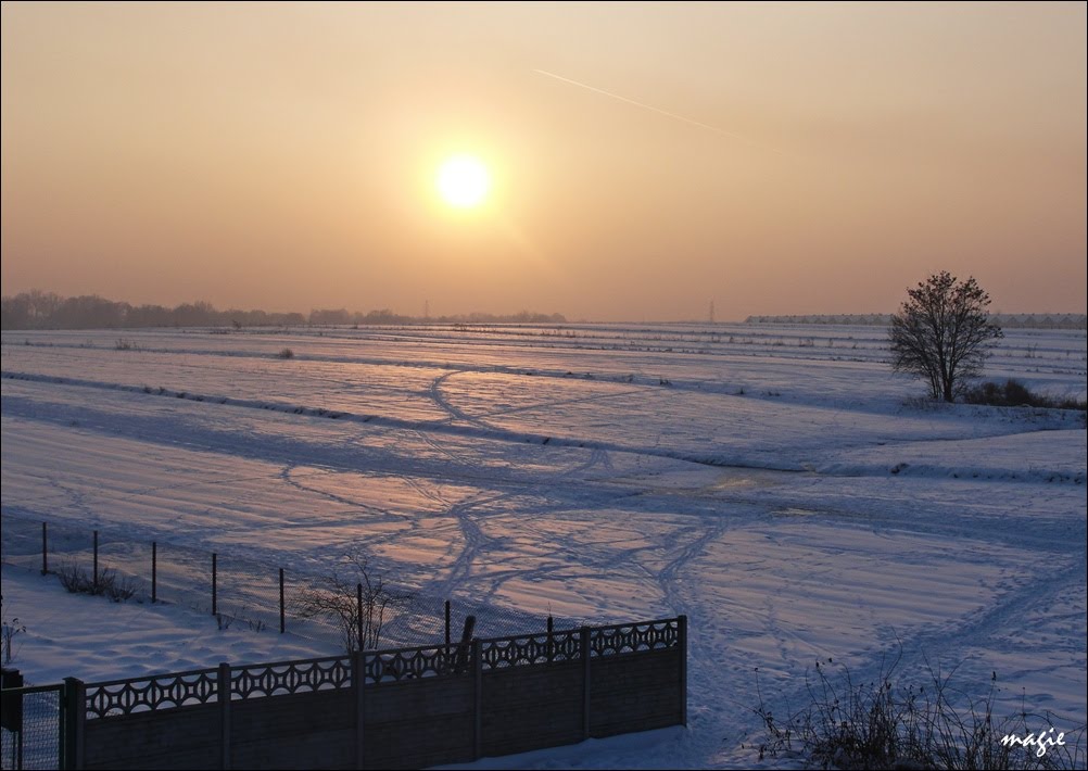 Gliwice. Zimowy wieczór na polach za Sikornikiem/Winter evening in the fields behind Sikornik estate by Krystyna Koch-magie*