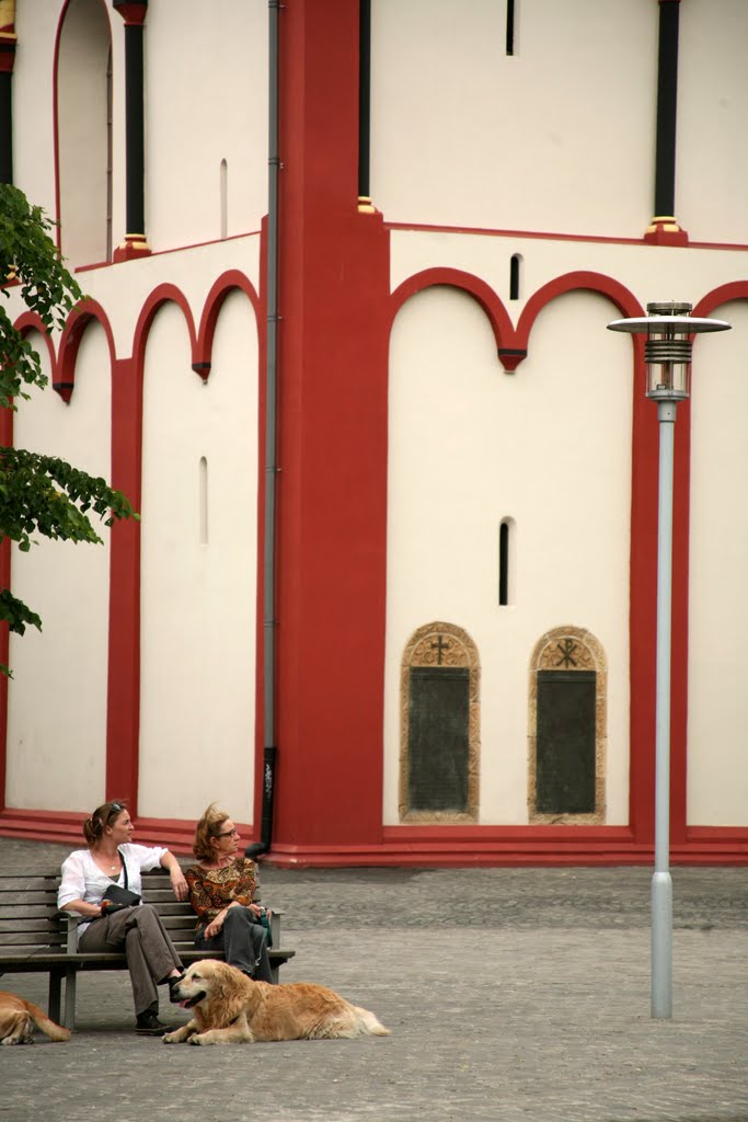 Collégiale Saint-Barthélemy, Liège, Liège, Belgique by Hans Sterkendries