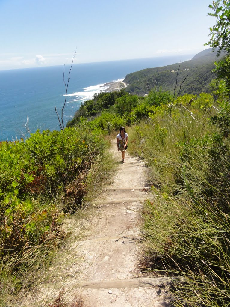 Storms River, Tsitsikamma National Park ,South Africa by Roy Partington