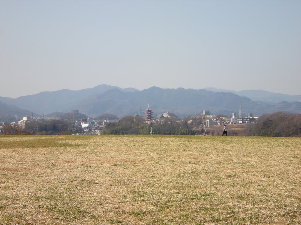 つどいの森公園からめじろ台方向を望む by hasano_jp