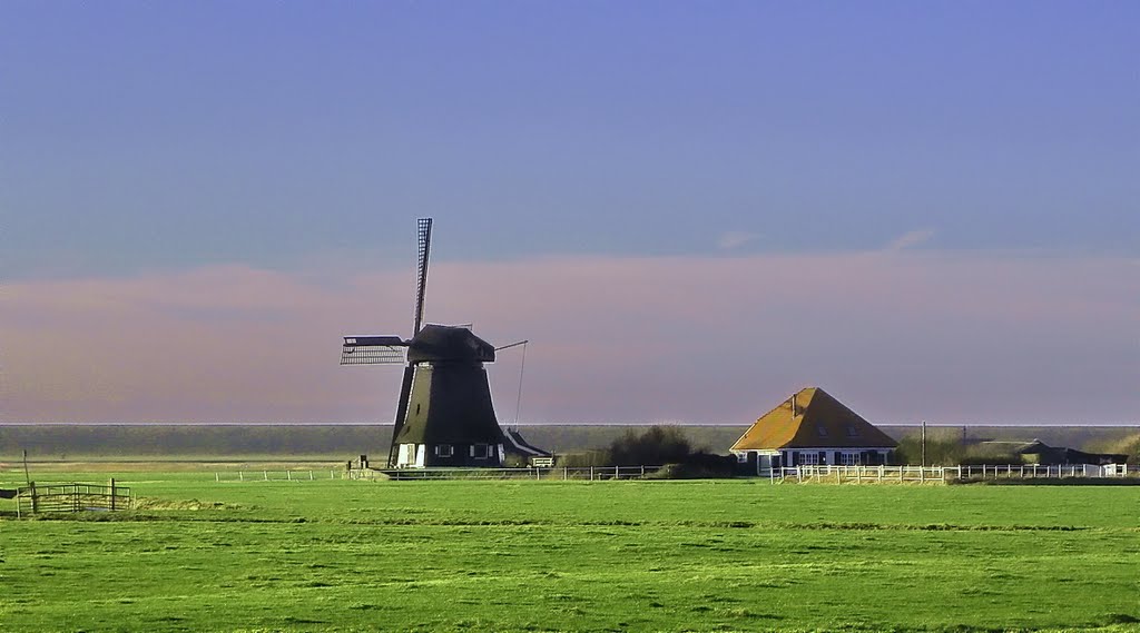 HONDSBOSCHE Zeedijk, HARGERPOLDER.Same mill as left picture in afternoon sun. by Feika