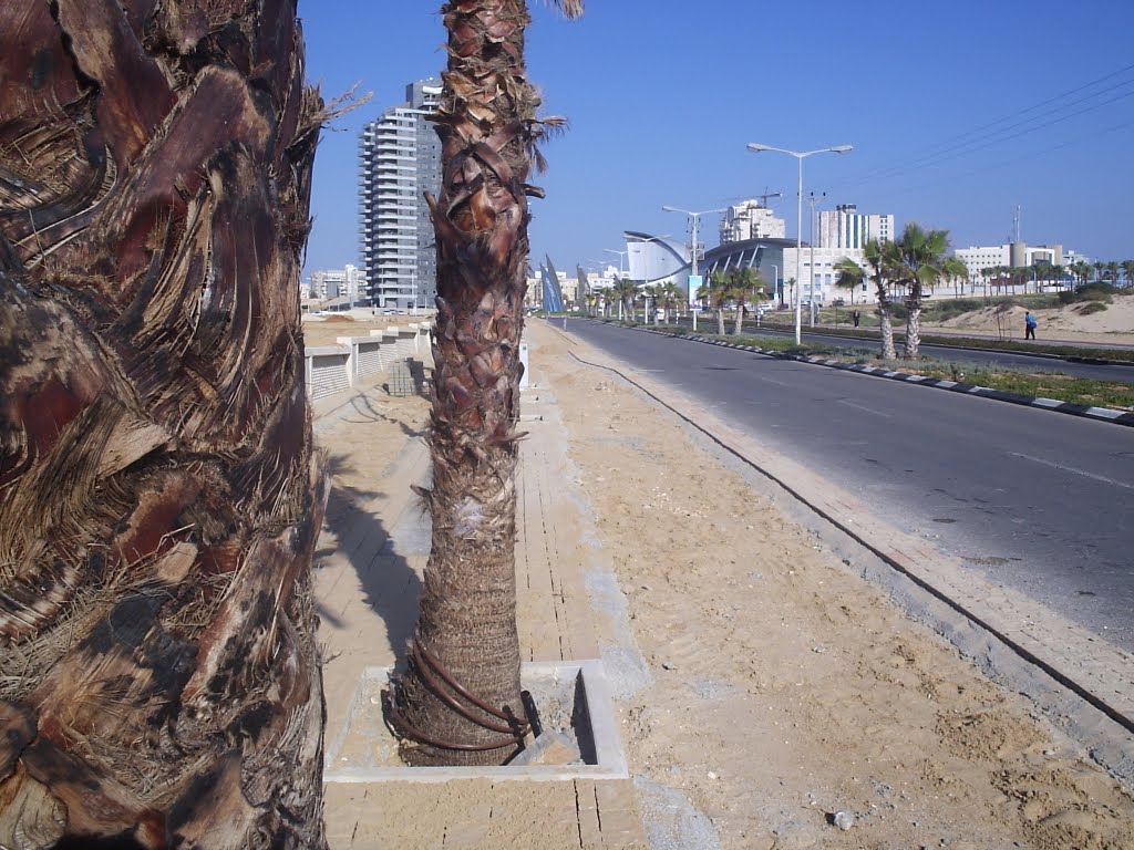 Ashdod Marina 2011 by Levin Viktor