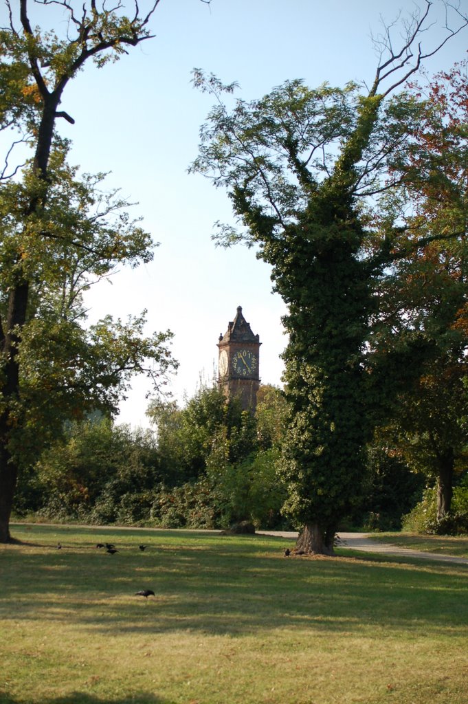 Alte Pegeluhr auf der Parkinsel (2) by Benjamin Aumann