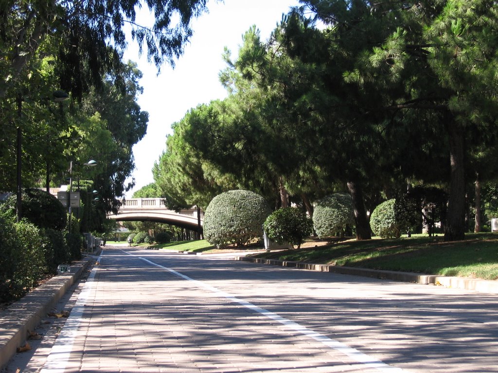 Jardines del Río Turia by Szombati Krisztina