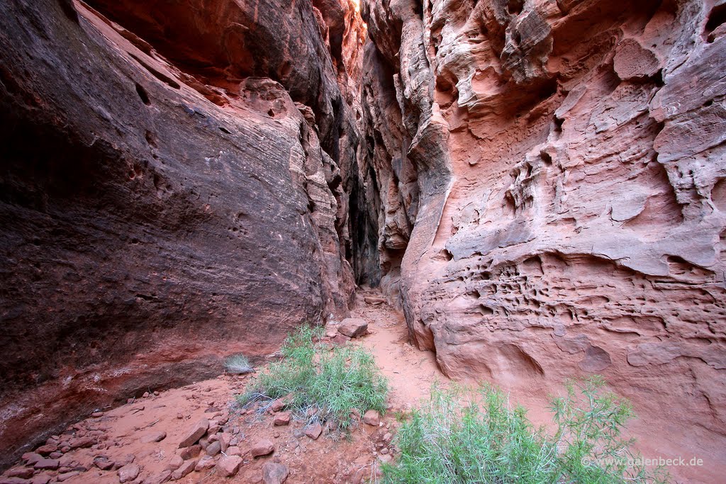 Mouth Jenny's Canyon by www.galenbeck.de