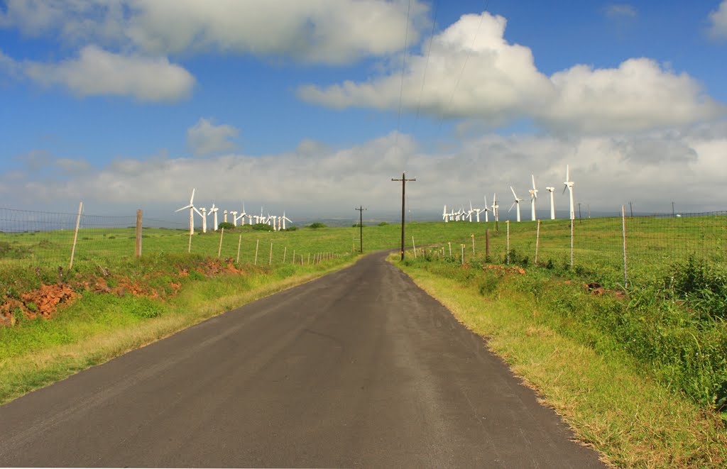 South Point Road by Scott Rackers