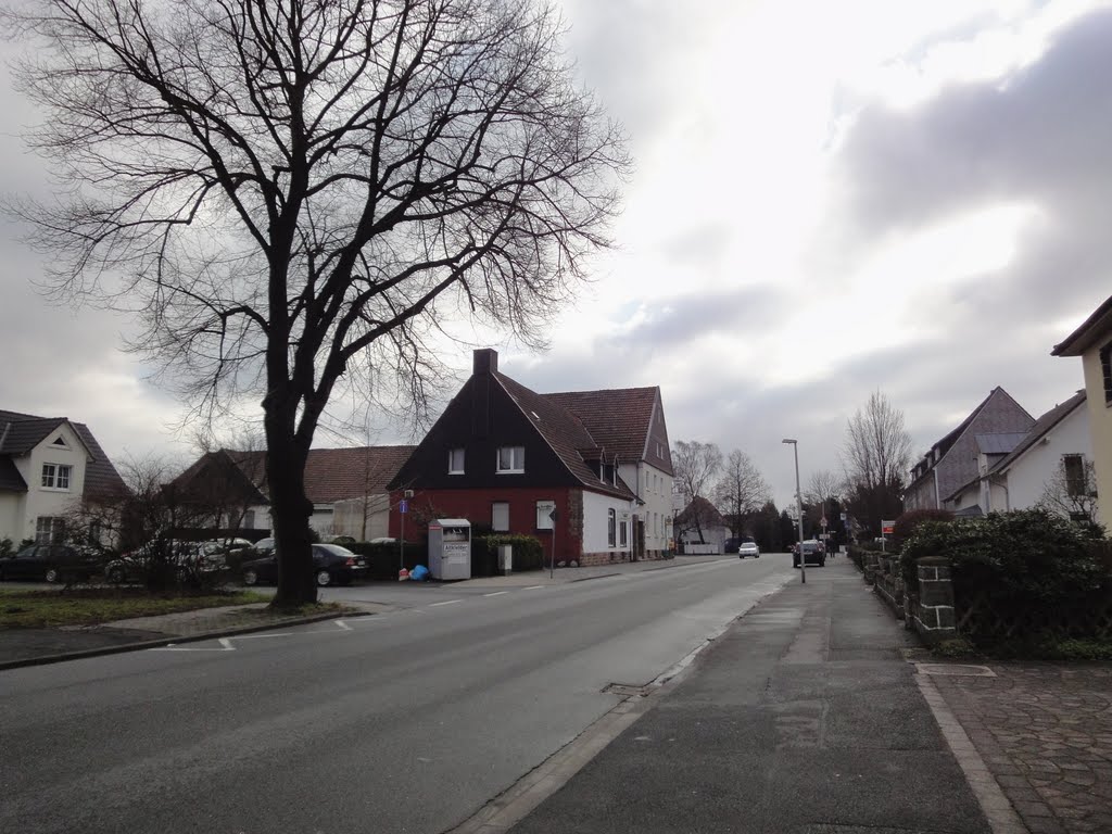 Weetfelder Straße by Fotofitti